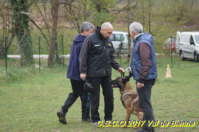 2017 csau chassal-Lex (2) (Copier).jpg